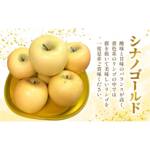 長野市産 シナノゴールド 3kg(7玉〜12玉入り) りんご 信濃の味[2026年10月下旬頃より発送予定] | りんご フルーツ