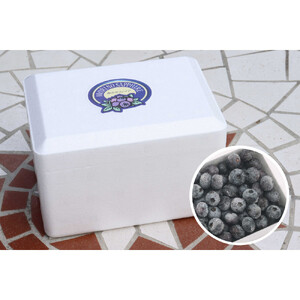 長野市産「森のサファイア」冷凍ブルーベリー（Mサイズ）500ｇスチロールパック