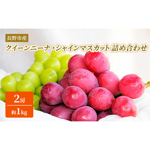 シャインマスカット・クイーンニーナ詰合せ1kg[2026年9月下旬以降の出荷分](本気農場いけだ) | シャインマスカット ぶどう フルーツ