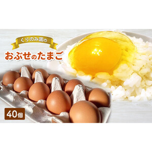 おぶせのたまご 40個