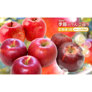 長野県 長野市産 ◎りんごの定期便◎ 10月～12月 3ヵ月連続5kg(12～20玉)ずつお届け　あきばえ・シナノスイート・サンふじ（矢島農園）