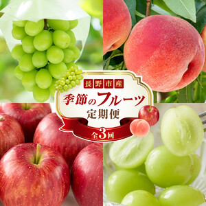 長野県 長野市産 〇季節のフルーツ〇8月〜10月定期便 桃・シャインマスカット・シナノスイート ※オンライン限定 (矢島農園)