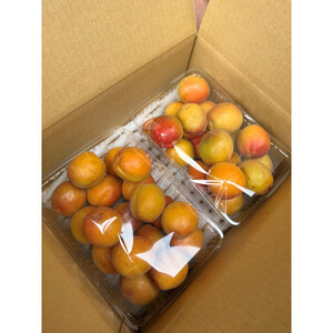 皮ごと食べられる[ハーコット]2kg