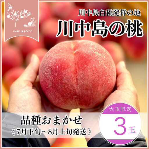 [先行予約]川中島の桃 大玉3玉 品種おまかせ 7月下旬〜8月上旬発送予定
