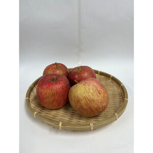 サンふじ（訳あり）5kg