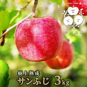 【11月下旬発送 先行予約】樹上熟成　サンふじ 3kg