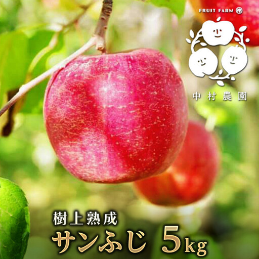 【11月下旬発送 先行予約】樹上熟成　サンふじ 5kg | りんご サンふじ 樹上熟成 糖度