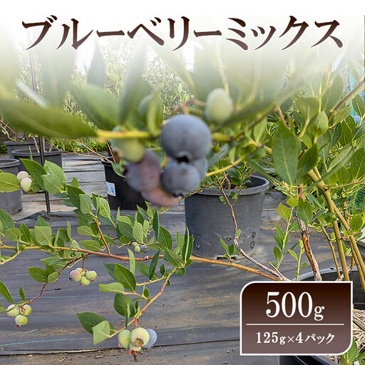 ブルーベリーミックス500g(125g×4パック)