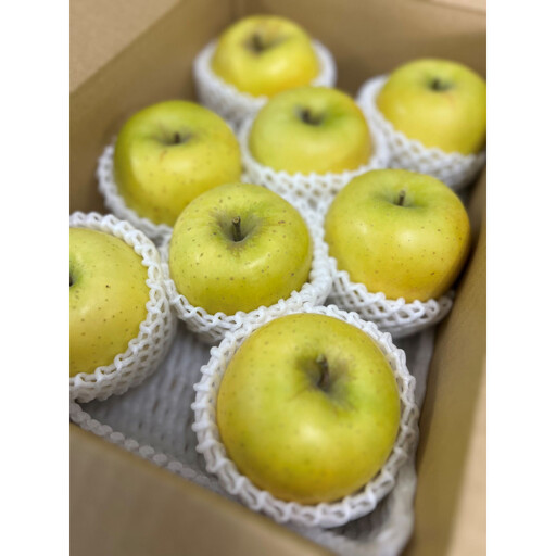 シナノゴールド3kg | りんご フルーツ 果物 りんご