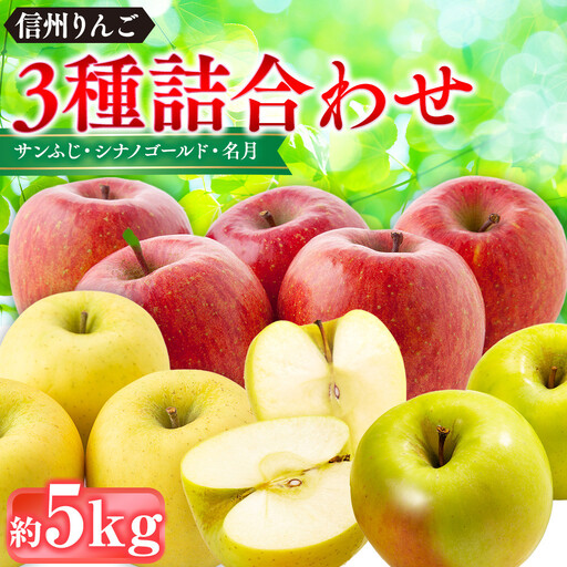 信州りんご・3種詰合わせ（サンふじ・シナノゴールド・名月）約5kg（12個～16個）｜ フルーツ