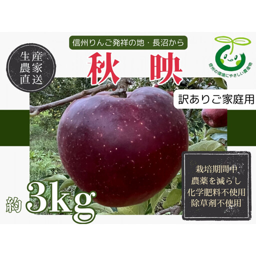 【訳あり】ヤーミーズファーム　生産農家直送 人にやさしい 長沼りんご・秋映3kg（ご家庭用） |  りんご 林檎 フルーツ 果物 秋映 家庭用 長沼 おすすめ 人気 送料無料 長野県 長野市 信州 信濃 ふるさと納税