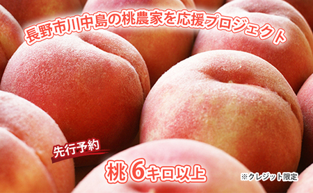 �y��s�\��z����s�쒆���̓��_�Ƃ������v���W�F�N�g  2026�N�z���I��6�L���ȏ�  ���N���W�b�g���� �ʕ��^���� ����