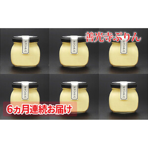 [定期便]善光寺ぷりん オリジナル6個セット[ 6か月連続お届け ]ご当地 お取り寄せ スイーツ ギフト お菓子 プリン 詰め合わせ 定期便 洋菓子 デザート