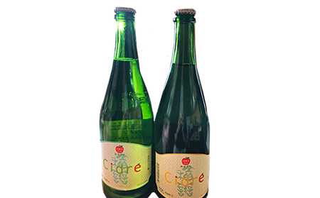 積善 Cidre 飲み比べセット (あまくち,からくち) りんご 発泡酒 750ml×2本 酒 シードル