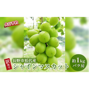 長野市松代産 訳ありシャインマスカット 約1kg（バラ房）