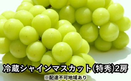 長野市産冷蔵シャインマスカット(特秀)2房 ※オンライン決済限定 果物類 ぶどう フルーツ 果物