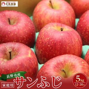 長野県 長野市産 サンふじ 家庭用 5kg(12〜20玉)[2026年12月中旬頃〜発送予定](矢島農園)