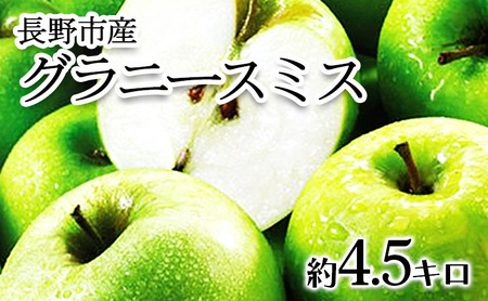[2024年10月順次発送 先行予約]長野市産 グラニースミス 約4.5キロ