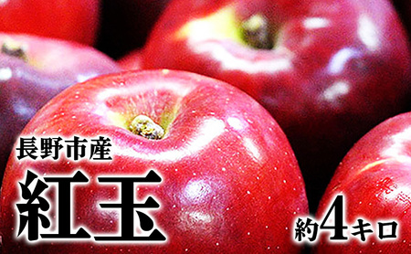 [2025年9〜10月発送 先行予約]長野市産 紅玉 約4キロ 果物類 林檎 りんご リンゴ 約4kg フルーツ