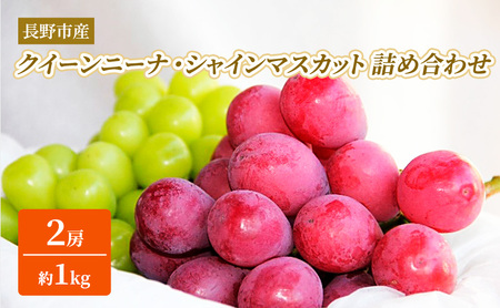 Ԃǂ s\ sY NC[j[i VC}XJbg 2[i1kgj l킹 Zbg y Hה  uhE ʕ t[c fU[g  MB 嗱 x Hה 2026