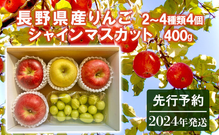 先行予約 長野県産りんご2〜4種類4個シャインマスカット400g 2024年発送
