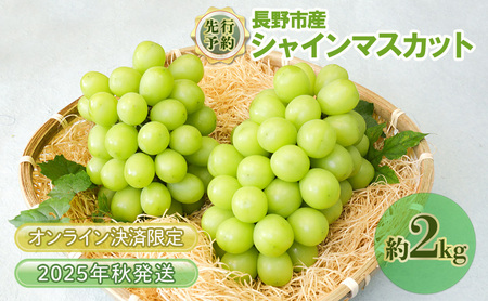 ぶどう 先行予約 長野市産 シャインマスカット 2kg 2025年9月中旬より順次発送 葡萄 ブドウ フルーツ 果物 シャイン マスカット デザート おやつ 信州 オンライン決済限定