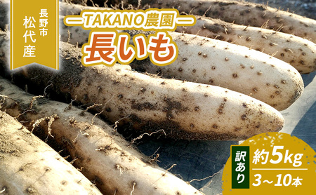 先行予約 長野市松代産 TAKANO農園 長いも 約5kg(訳あり)[3〜10本]