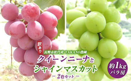 先行予約 長野市松代産 TAKANO農園 訳ありクイーンニーナとシャインマスカット2色セット 約1kg(バラ房)2025年発送 果物 フルーツ 食後 デザート 種無し ぶどう詰め合わせ ぶどう 食べ比べ
