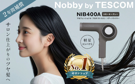 プロフェッショナル プロテクトイオン ヘアー ドライヤー スモーキーグレー(NIB400A-H)| ドライヤー サロン ヘアケア 家電 電化製品 髪 製品 日用品 本体 軽い 風呂 洗面台 適温 適湿 長野県 松本市 ふるさと納税