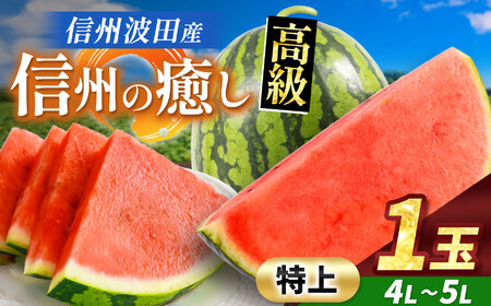 【先行予約】信州波田産 贈答用 高級スイカ！信州の癒し 【特上】 4L～5Lサイズ 1玉｜ふるさと納税 長野県 信州 松本 果物 フルーツ すいか スイカ 西瓜 新鮮 大きい 特別 贈答 季節限定 甘い くだもの ふるーつ