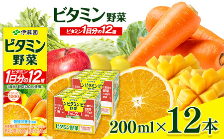 ビタミン野菜 紙パック ( 200ml × 12本 ) 伊藤園 | 野菜 フルーツ ジュース ドリンク 飲料 健康 食品 砂糖 食塩 不使用 長期常温可能 長野県 松本市 ふるさと納税