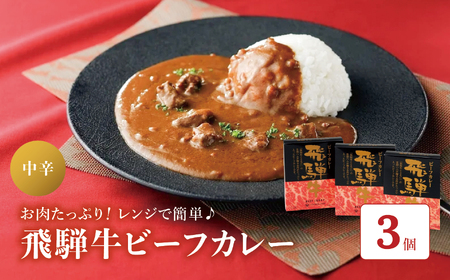 飛騨牛 ビーフカレー セット ( 220g × 3個 ) | 飛騨牛 カレー ルー レトルト 食品 お取り寄せ グルメ カレーライス 長野県 松本市 ふるさと納税