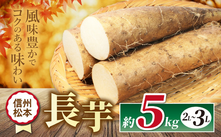 [先行受付]長芋 2L〜3L 約5kg|ふるさと納税 松本市 長芋 長いも 料理 自然 芋 ビタミン 豊富 地元 新鮮