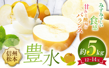 [先行受付]豊水 12〜14玉 約5kg|ふるさと納税 松本市 豊水 果物 フルーツ 梨 なし ジューシー 果肉 美味しい 人気