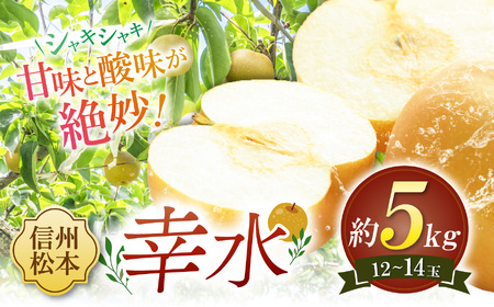 [先行受付]幸水 12〜14玉 約5kg|ふるさと納税 松本市 幸水 果物 フルーツ 梨 なし ジューシー 果肉 信州産 美味しい 人気