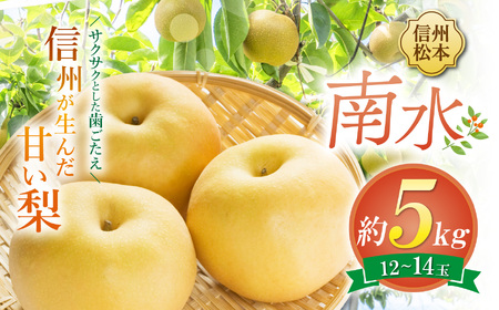 [先行受付]南水 12〜14玉 約5kg|ふるさと納税 松本市 南水 果物 フルーツ 梨 なし ジューシー 果肉 美味しい 人気