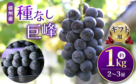 [先行受付]信州産 種無し巨峰 ギフト用 約1kg(2房〜3房)[2025年9月〜発送]|ふるさと納税 信州 松本 巨峰 ぶどう 種なし 定番 甘い 果物 フルーツ 甘い おすすめ ギフト