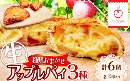 【種類お任せ】生 アップル パイ３種類 6個セット（ 各２個 入り ）｜ 菓子 ふるさと納税 お菓子 デザート 信州 林檎 おやつ アップルパイ クリーム 季節 人気 フルーツ スイーツ 洋菓子 ご当地 長野県 松本市