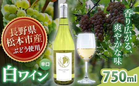 Delaware ＆ Niagara 2024(デラウェア×ナイアガラ) 1本 750ml｜ワイン 信州 白ワイン 辛口 ぶどう デラウェア ナイアガラ 長野県 松本市 老舗 ワイナリー 定番 わいん 酒 おさけ さけ アルコール