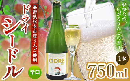 CIDRE DRY 2023(シードル) 1本 750ml|信州 シードル 料理 林檎 りんご 酸味 ブレンド 発泡性 辛口 ぶどう 長野県 松本市 老舗 ワイナリー 定番 酒 おさけ さけ アルコール