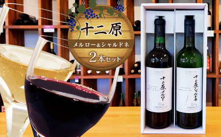 十二原(メルロー)720ml、十二原(シャルドネ)750ml 2本セット|ワイン 信州 赤ワイン 白ワイン ぶどう 長野県 松本市 わいん 酒 おさけ さけ