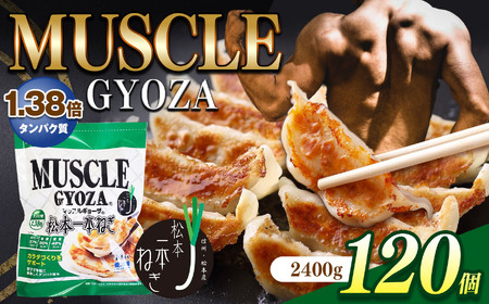 MUSCLE GYOZA ～マッスルギョーザ～ 3パックセット | 餃子 ギョーザ 高タンパク 低糖質 低脂質 低カロリー マッスルギョーザ 長野県 松本市 信州産 ふるさと納税