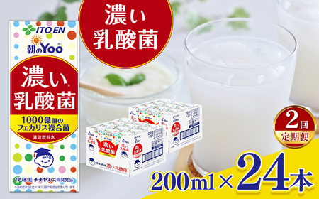 [定期便2回]朝のYoo濃い乳酸菌200ml×24本|伊藤園 野菜 フルーツ 乳酸菌 乳飲料 ジュース ドリンク 飲料 健康 食品 長期常温可能 長野県 松本市 ふるさと納税