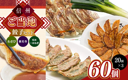 信州ご当地餃子セット 20個入り×3種 | 餃子 ギョーザ 長野県 松本市 信州産 ふるさと納税