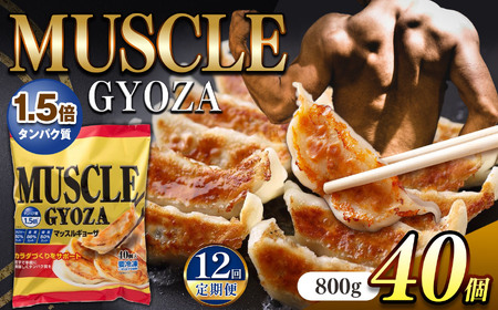 [定期便12回]MUSCLE GYOZA 〜マッスルギョーザ〜冷凍餃子40個入り1袋