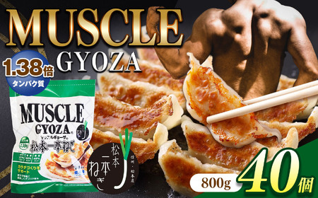 MUSCLE GYOZA ～マッスルギョーザ～ 松本一本ねぎ（40個入り） | 餃子 ギョーザ 高タンパク 低糖質 低脂質 低カロリー マッスルギョーザ 長野県 松本市 信州産 ふるさと納税