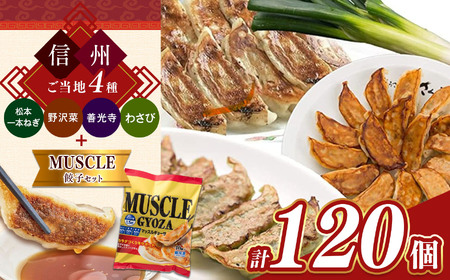 信州ご当地餃子4種&マッスルギョーザセット 合計120個！ | 餃子 ギョーザ 長野県 松本市 信州産 ふるさと納税