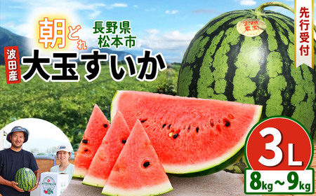 松本市 波田産 大玉すいか 3L(8kg〜9kg)│ 信州 松本市 長野県 西瓜 すいか 果物 大玉 スイカ フルーツ くだもの 新鮮 果汁 ジューシー 大きい ふるーつ