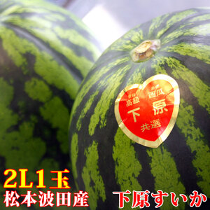 スイカ 下原すいか 信州松本波田産 2L ( 7kg 〜 8kg ) × 1玉 | フルーツ 夏 スイカ 西瓜 大玉スイカ シャキ感 甘い ふるーつ 果物 野菜 長野県 松本市 信州産 人気 ふるさと納税