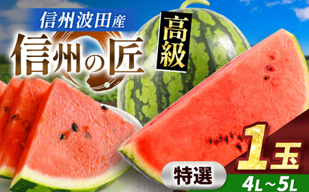 信州波田産 高級スイカ！信州の匠 【特選】 4L～5Lサイズ 1玉｜ふるさと納税 長野県 信州 松本 果物 フルーツ すいか スイカ 西瓜 新鮮 大きい 特別 贈答 季節限定 甘い くだもの ふるーつ